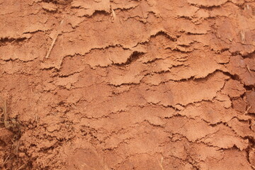 texture of the ground,Ground Texture After Tractor Passage and Leveling.