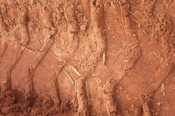 Texture of the Ground After Agricultural Machinery.