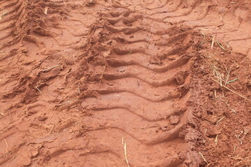 Compacted and Leveled Structure of Plowed Land.
