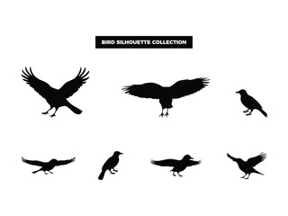 Fototapeta premium Vector Bird Silhouette Collection, Flying, Perching, and Soaring Birds for Graphic Design