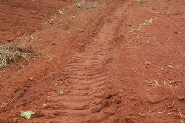 Soil Texture After Mechanical Processing