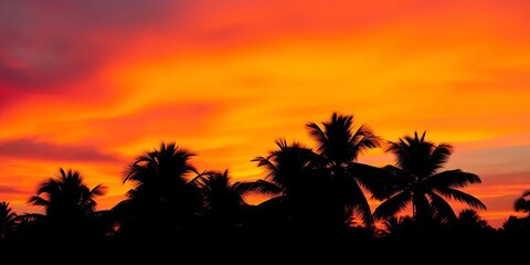 Dark palm tree silhouettes against a vibrant sunset sky,   color,   night