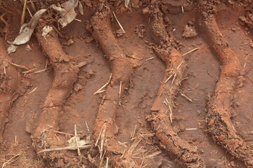 Tractor Tire Track on the Ground