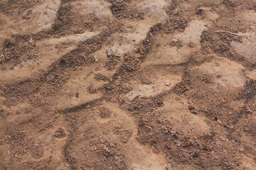 soil, Exposed Earth,sandy soil