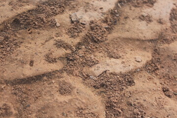 soil, Exposed Earth