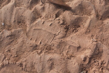 texture of sand, traces on sand