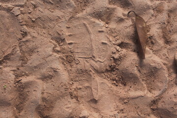 traces on sand