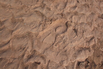 texture of sand, soil structure