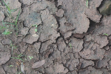 cracked soil