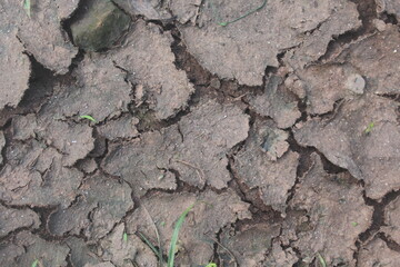 cracked soil texture