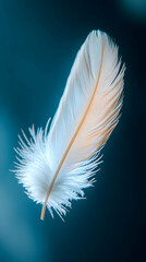 Delicate single white feather floats against a deep teal background; a serene image perfect for representing peace, lightness, or spirituality.