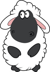 black and white sheep