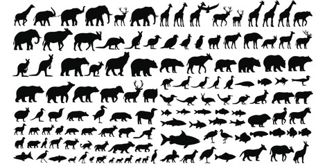 Collection of animal silhouettes, diverse wildlife species in rows, black figures on white background, representing biodiversity, nature, habitat, zoology, and animal kingdom variety