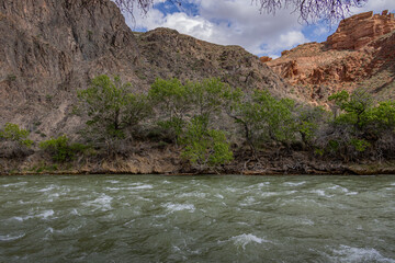 Charyn River with flowing water and green trees against rocky canyon cliffs in Kazakhstan