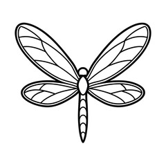 butterfly vector illustration