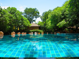 Tranquil Blue Waters of a Hotel Pool in Myanmar