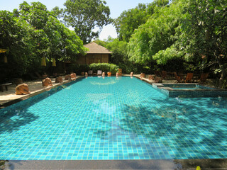 Hotel Swimming Pool Surrounded by Tropical Trees