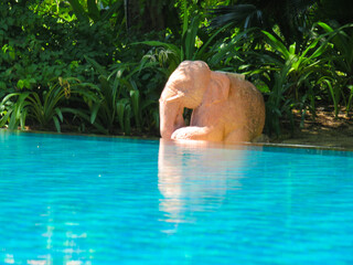 An elephant sculpture next to a swimming pool in tropical Southeast Asia