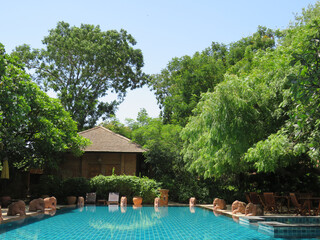 Swimming Pool and Lush Tropical Gardens