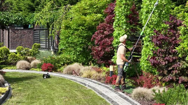 Gardener Trims Lush Greenery in Vibrant Backyard Landscape During a Sunny Day