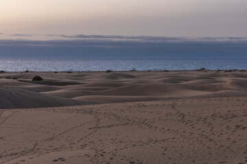 Sand dunes in the Maspalomas area of ​​Gran Canaria Spain