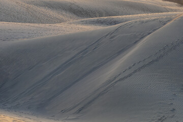 Sand dunes in the Maspalomas area of ​​Gran Canaria Spain
