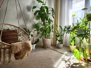 Cozy indoor space with a hanging chair and vibrant greenery in bright sunlight