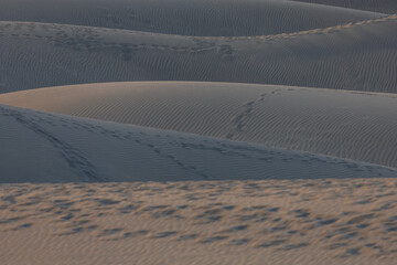 Sand dunes in the Maspalomas area of ​​Gran Canaria Spain