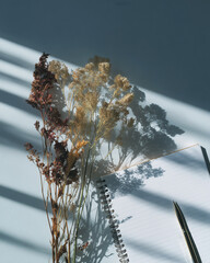 Notebook with dried flowers and pen under soft shadows