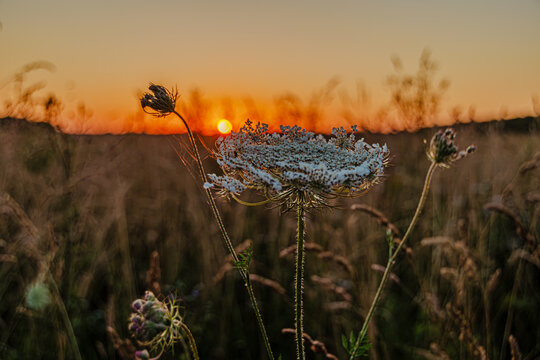 Die Wilde M&ouml;hre im Licht des Sonnenaufgangs