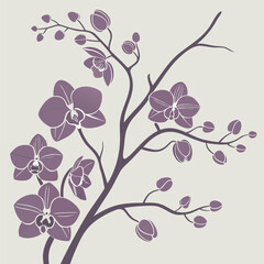 Pink floral vector pattern with butterflies and leaves, a seamless design for spring and summer decoration