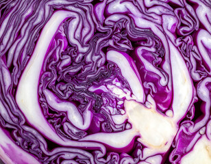 Fototapeta premium Abstract macro of vibrant red cabbage layers. Intricate texture, perfect for food, health, or organic concepts. Stunning background for design and advertising.