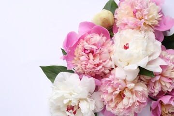 Beautiful peonies and green leaves on white background, flat lay. Space for text