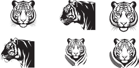 Tiger portraits and profile animal wildlife