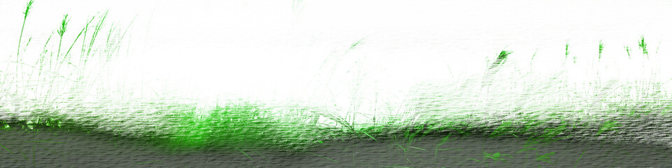 green grass background