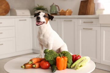 Cute dog and fresh vegetables on table in kitchen. Pet food