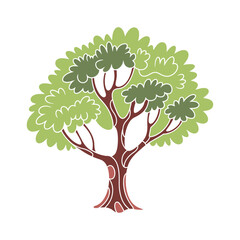 Stylized illustration of a deciduous tree with a brown trunk and green foliage