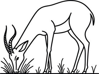 Antelope Eating Grass line art vector illustration isolated on a white background
