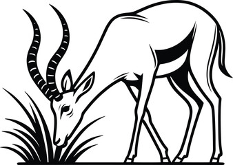 Antelope Eating Grass line art vector illustration isolated on a white background
