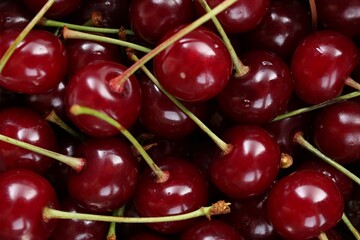 Many fresh ripe cherries as background, closeup