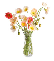 Bouquet of beautiful poppy flowers isolated on white