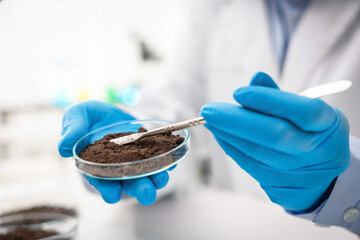 Scientist taking soil sample for research at table in laboratory, closeup