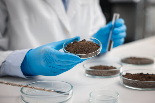 Scientist holding Petri dish with soil sample and test tube at white table in laboratory, closeup