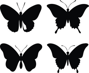 four types of admiral butterfly line arts