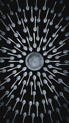 World Hunger Concept &ndash; Spoons Pointing to Empty Plate on Black Background