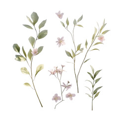 Watercolor floral illustration with leaves and flowers for wedding invitation and greeting card design use on transparent background