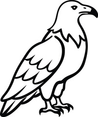 african fish eagle line arts with white background 