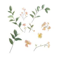 Obraz premium Watercolor floral elements for wedding invitation design and delicate botanical illustration with leaves and flowers on transparent background