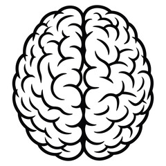 human brain vector