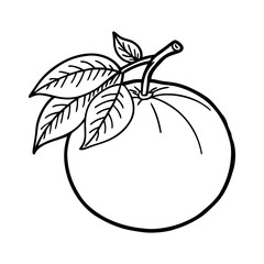 Simple black line drawing of a round fruit with leaves and stem isolated on white background isolated on transparent background